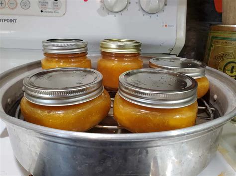 canning-peach-jam-with-honey-a-farm-girl-in-the-making image