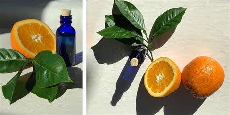 how-to-make-your-own-orange-infused-cooking-oil image