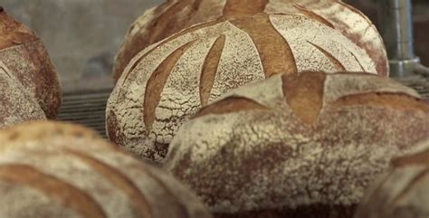 king-arthur-sourdough-bread-recipe-recipesnet image