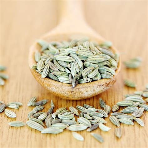 what-are-fennel-seeds-and-how-do-you-cook-with-them image