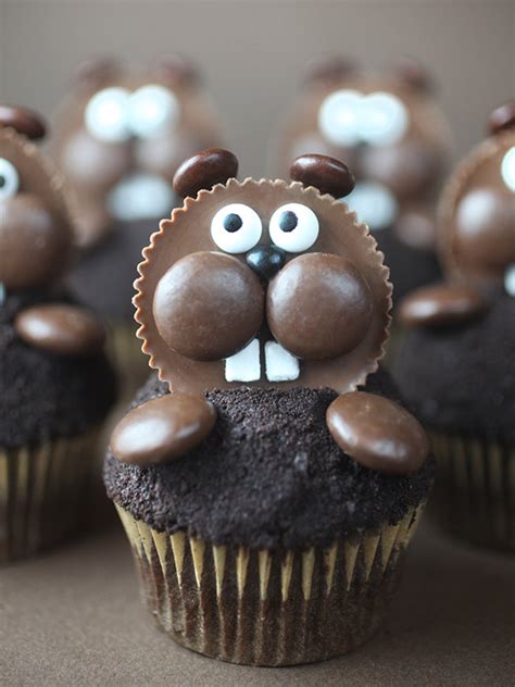 groundhog-day-cupcakes-bakerella image