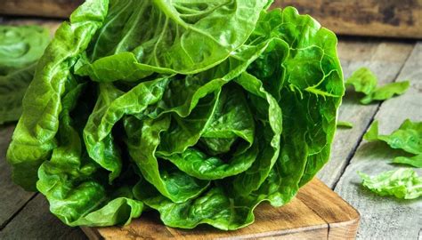 romaine-lettuce-nutritional-information-and-health-benefits image