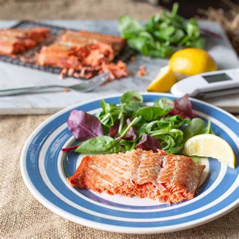 hot-smoked-salmon-quick-no-brine-recipe-the image