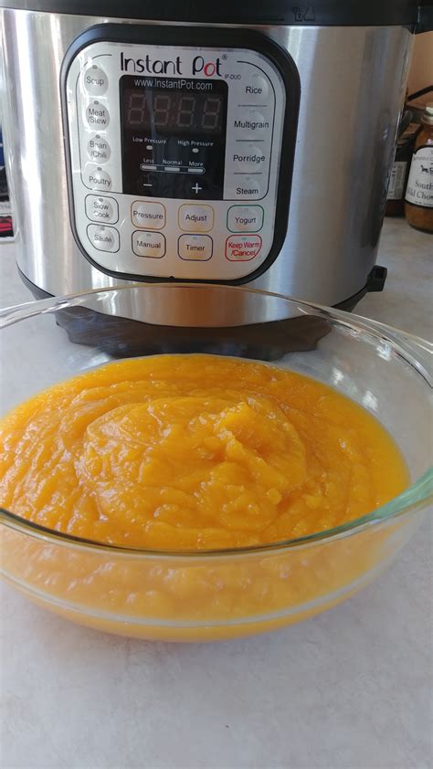 instant-pot-pumpkin-puree-allrecipes image