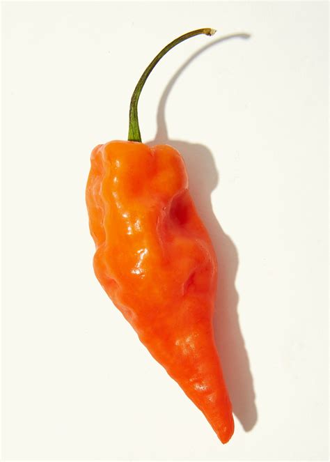 how-to-make-habanero-peppers-less-spicy-bon-apptit image