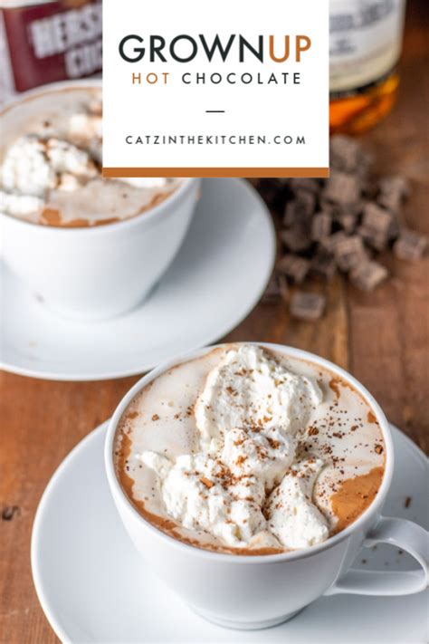 grown-up-hot-chocolate-catz-in-the-kitchen image