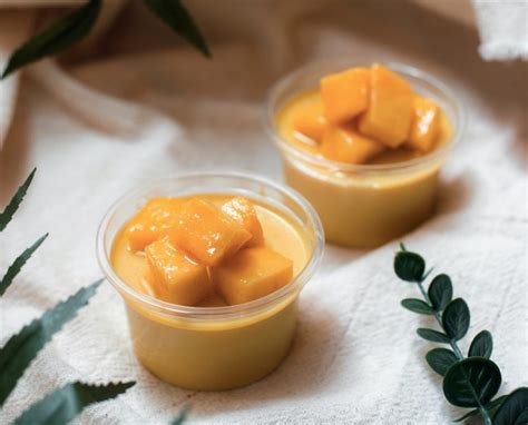 homemade-mango-frozen-yogurt-recipe-super-easy image