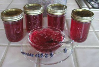 lavender-jelly-recipe-whats-cooking-america image