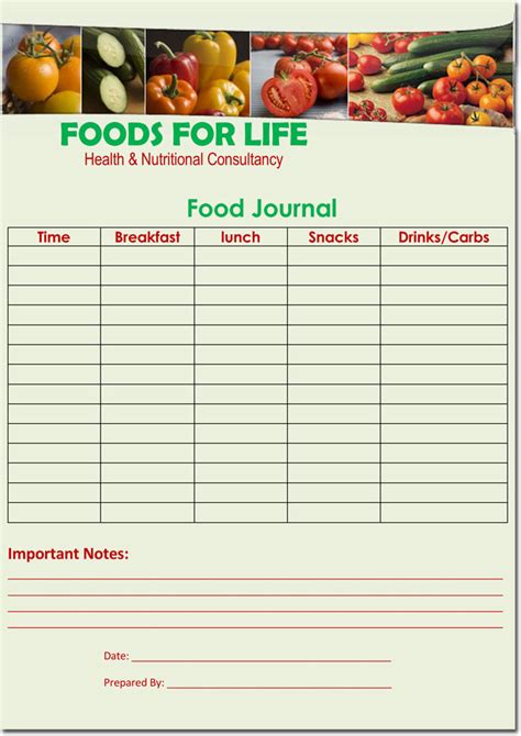 food-diary-log-journal-templates-word-layouts image