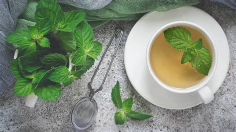 12-science-backed-benefits-of-peppermint-tea-and image