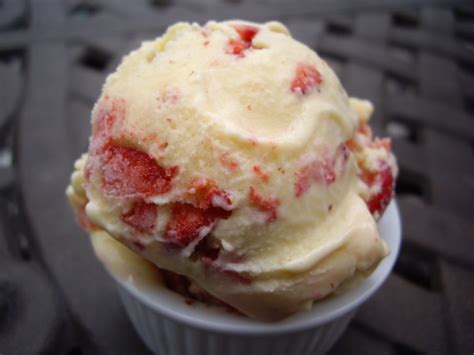 24-homemade-ice-cream-recipes-foodcom image