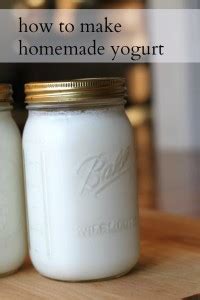 how-to-make-homemade-yogurt-the-frugal-girl image