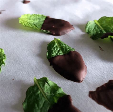 32-mint-chocolate-recipes-youll-want-to-make-again image