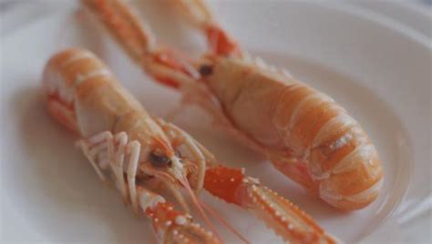 langoustine-recipes-bbc-food image