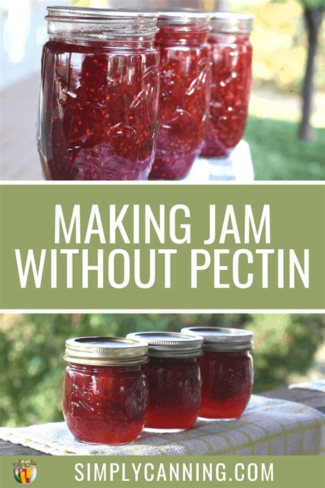 making-jam-without-pectin-canning image