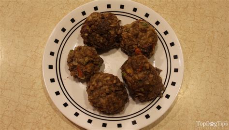 homemade-ground-beef-dog-food-recipe-video-and image