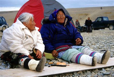 inuit-country-food-in-canada-the-canadian-encyclopedia image