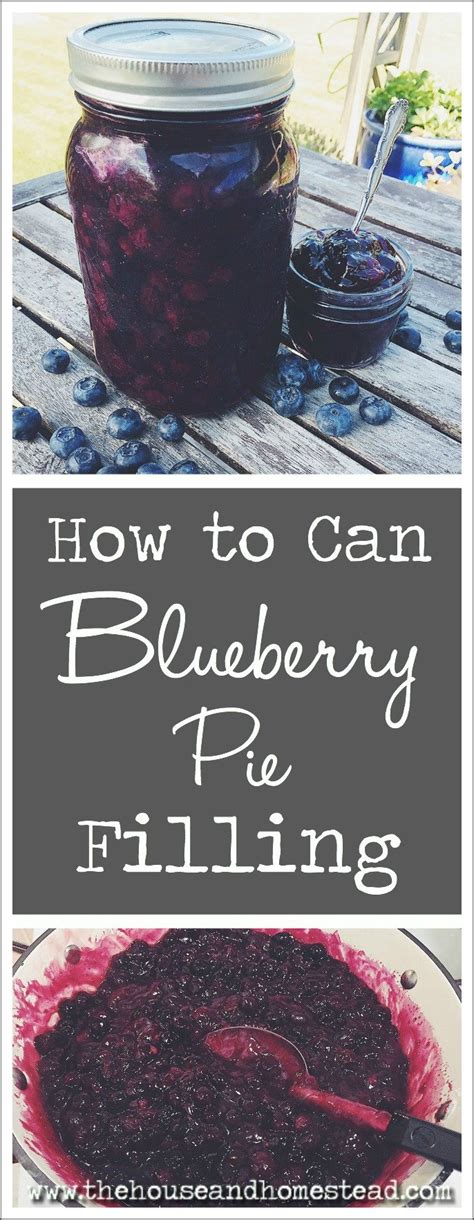 how-to-can-blueberry-pie-filling-the-house image