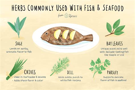 12-best-herbs-to-flavor-fish-and-seafood image