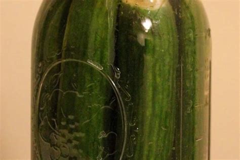 kosher-jewish-pickles-recipe-foodcom image