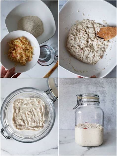 how-to-make-a-gluten-free-sourdough-starter-from-scratch image