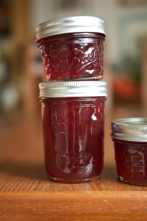 red-currant-jelly-food-in-jars image