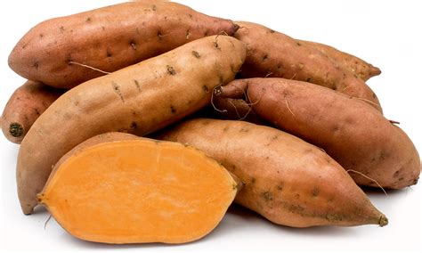 jewel-yams-information-recipes-and-facts-specialty image