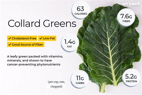 collard-greens-nutrition-facts-and-health-benefits image