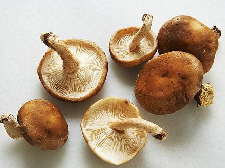 lamb-shanks-with-mushroom-bolognese image