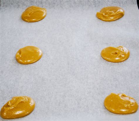 honey-ginger-snap-cookies-recipe-winners image