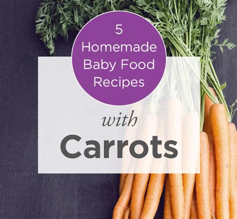 5-homemade-baby-food-recipes-with-carrots image