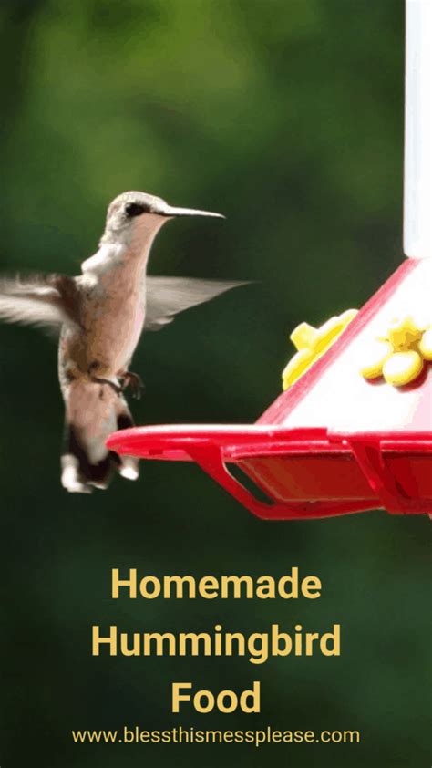 the-best-homemade-hummingbird-food-recipe-bless image