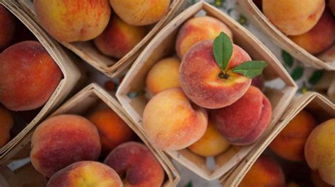 10-surprising-health-benefits-and-uses-of-peaches image
