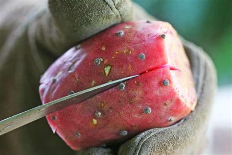 how-to-cut-and-prepare-prickly-pears-simply image