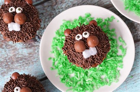groundhog-day-cupcakes-craft-create-cook image