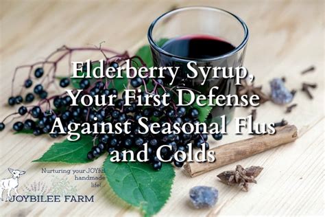 common-cold-remedies-elderberry-syrup image