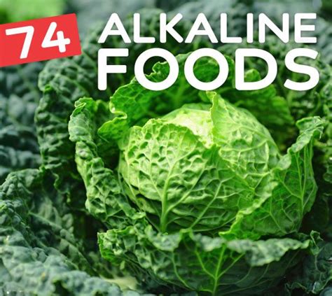 74-alkaline-diet-an-evidence-based-review image