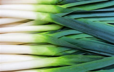 the-best-wine-and-other-pairings-for-leeks image