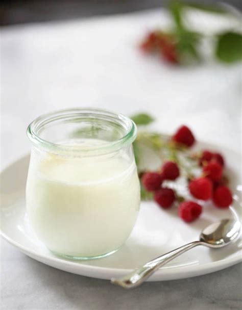 delicious-home-made-yoghurt-recipes-food-matters image