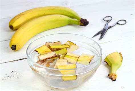 what-is-banana-water-and-is-it-actually-good-for-plants image