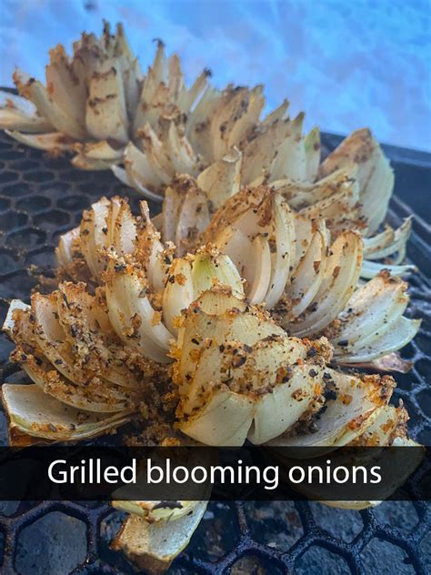grilled-blooming-onion-grill-hunters image