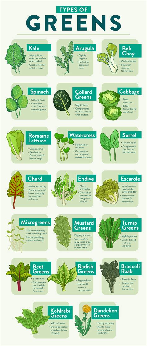 20-types-of-greens-to-spruce-up-your-meals image