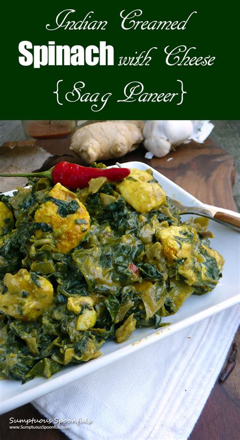 indian-creamed-spinach-with-cheese-saag image