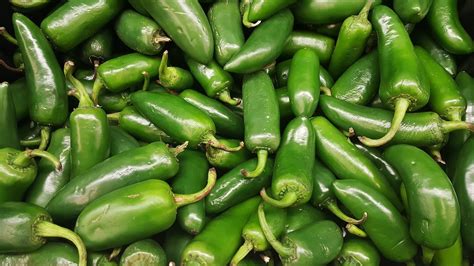 jalapeo-pepper-guide-heat-flavor-uses-pepperscale image