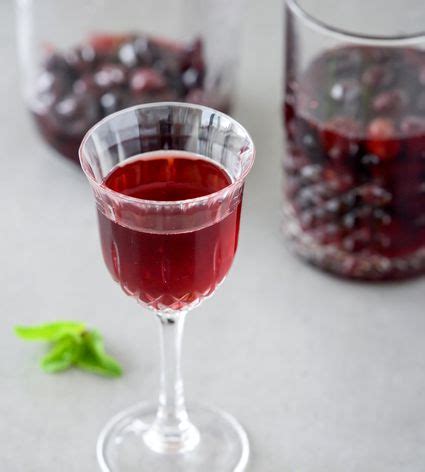 polish-blueberry-cordial-likier-borowkowy-recipe-the image