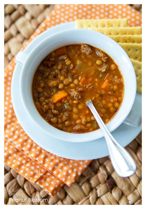 spicy-sausage-and-lentil-soup-peanut-blossom image