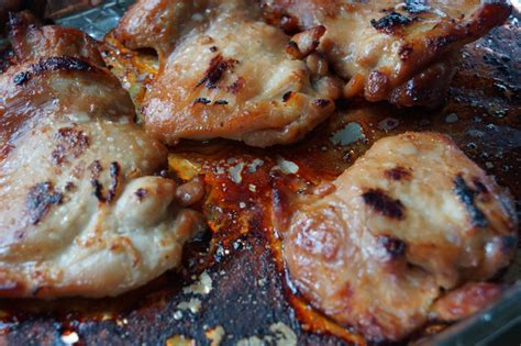 miso-grilled-chicken-recipe-japanese-cooking-101 image
