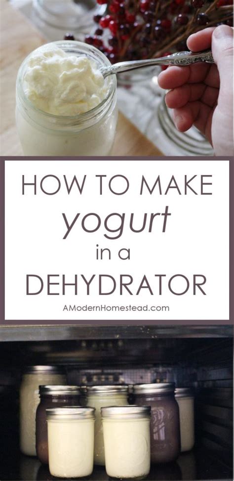 how-to-make-yogurt-in-a-dehydrator-a-modern image
