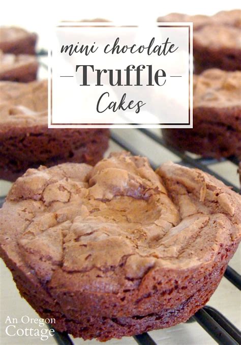 quick-rich-mini-chocolate-truffle-cakes-an-oregon image