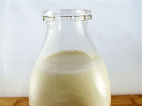 what-is-laban-or-lban-middle-eastern-buttermilk-the image